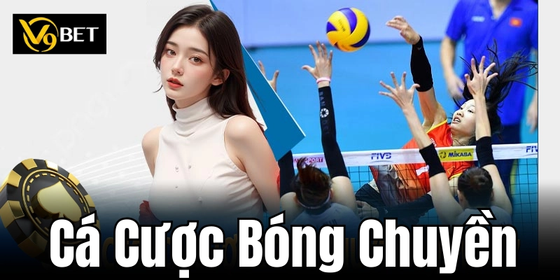 Chiến thuật cá cược bóng chuyền thành công